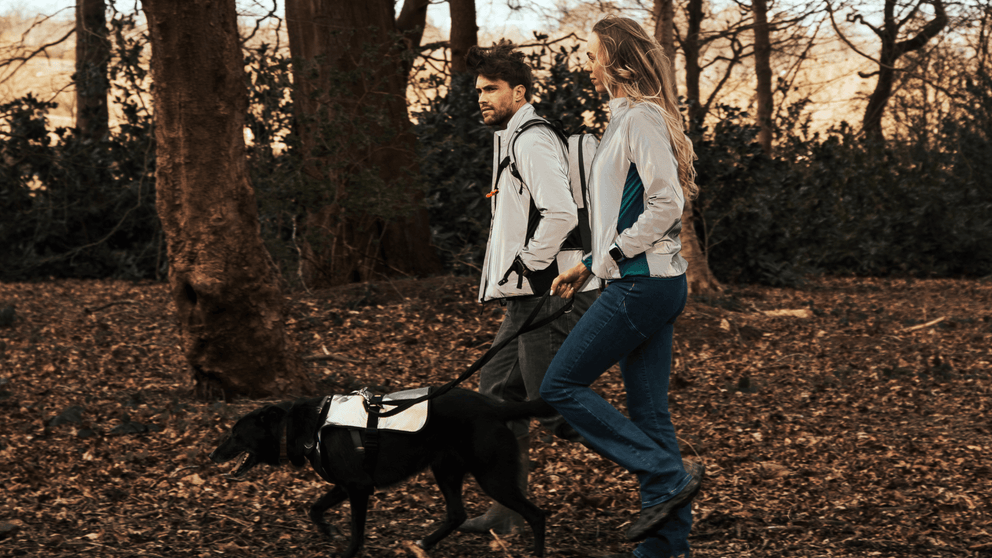 Walking Your Dog in the UK in Spring: Staying Safe, Dry & Enjoying the Season