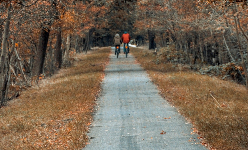 UK Cycling Trails to Explore this Autumn