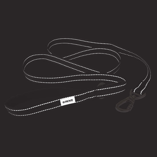 Reflective Dog Lead — night mode