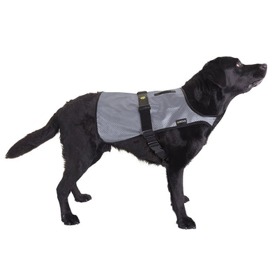 Fully Reflective Explorer Dog Vest