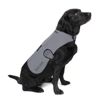 Reflektierender wasserdichter Hundemantel