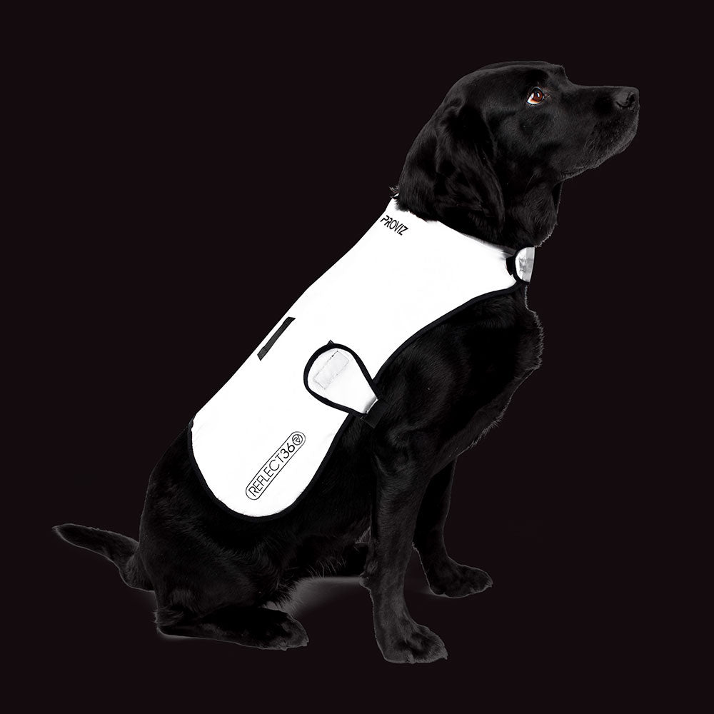 Reflektierender wasserdichter Hundemantel mit Fleecefutter