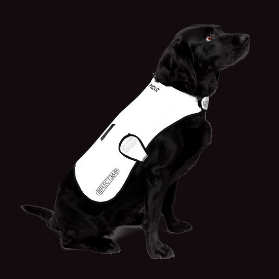 Reflective Waterproof Fleece Lined Dog Coat — night mode