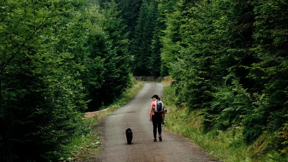 Best Clothes for Summer Hiking