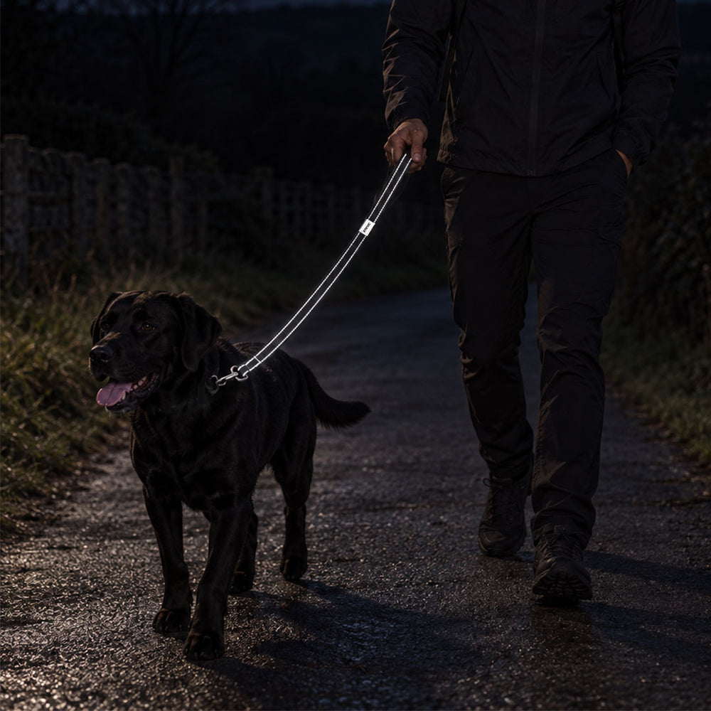 Reflective Dog Lead