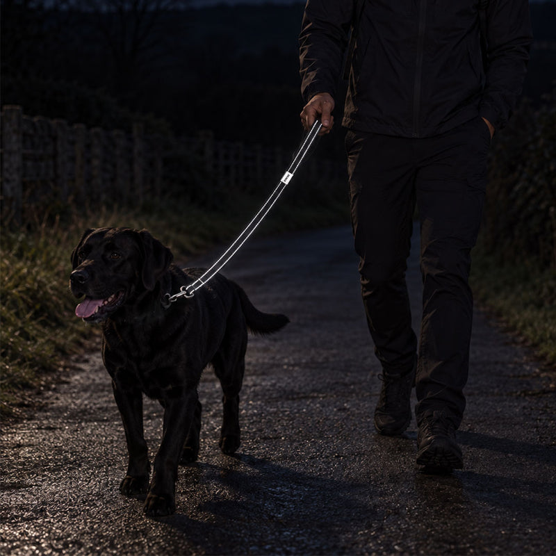 Reflective Dog Lead