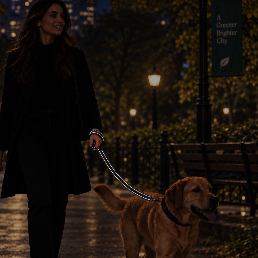 Reflective Dog Lead