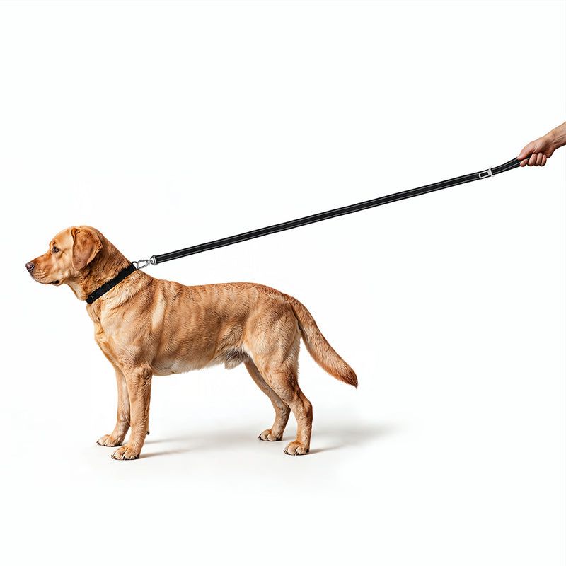 Reflective Dog Lead