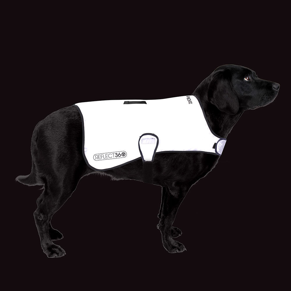 Dog reflective clearance coat